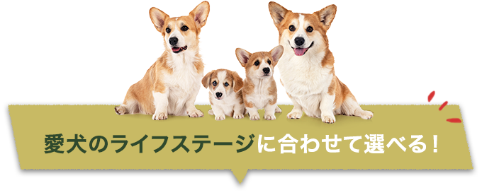 愛犬のライフステージに合わせて選べる!